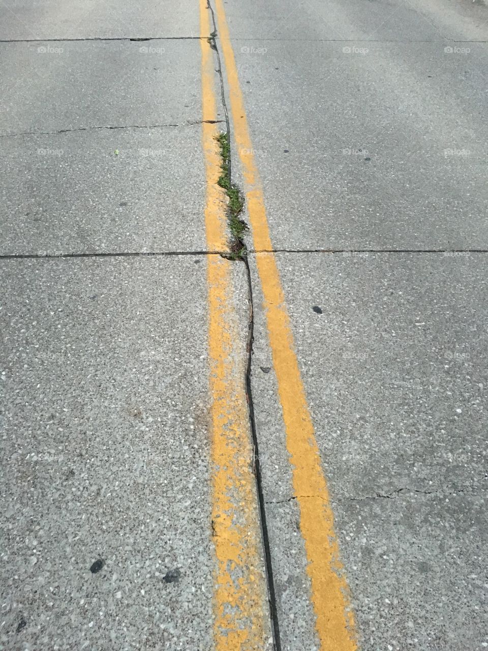 Walking down the middle-of-the-road