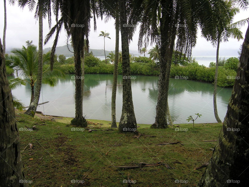 small bay on Coconut Island, where the show, "Gilligan's Island" was filmed