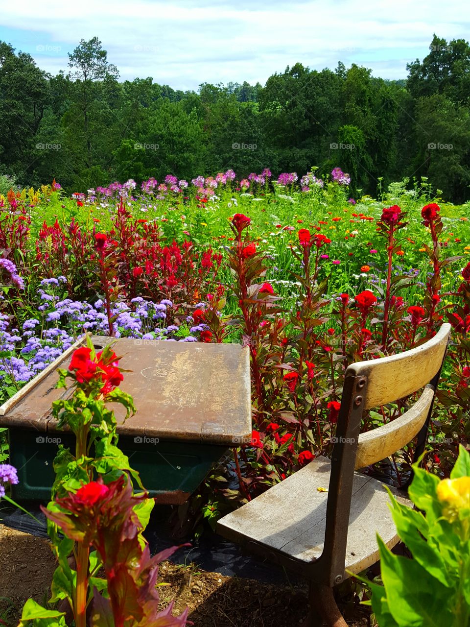 garden of learning