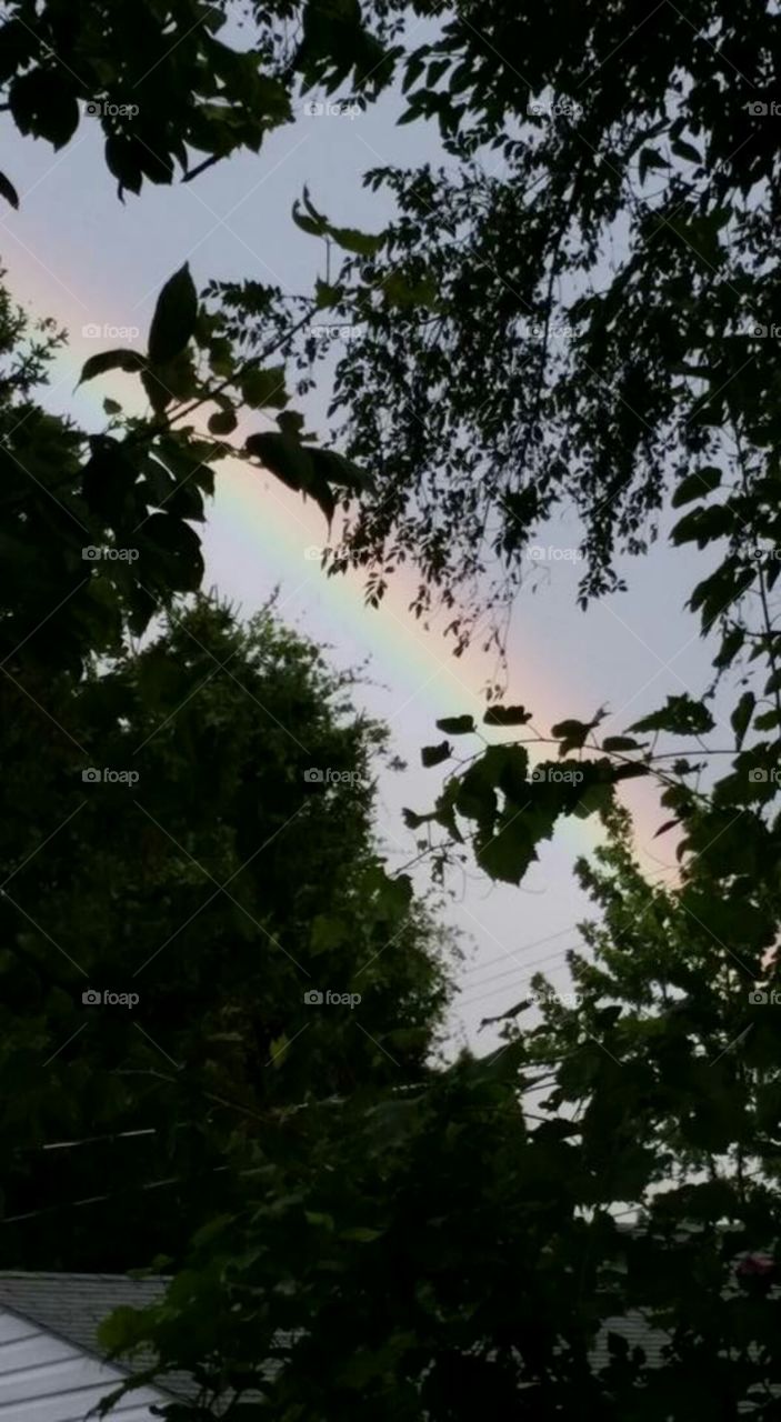 I love rainbows. I found one when I went out one day to get the chairs from the yard as it started raining. It was right through the trees and I thought it looked awesome.
