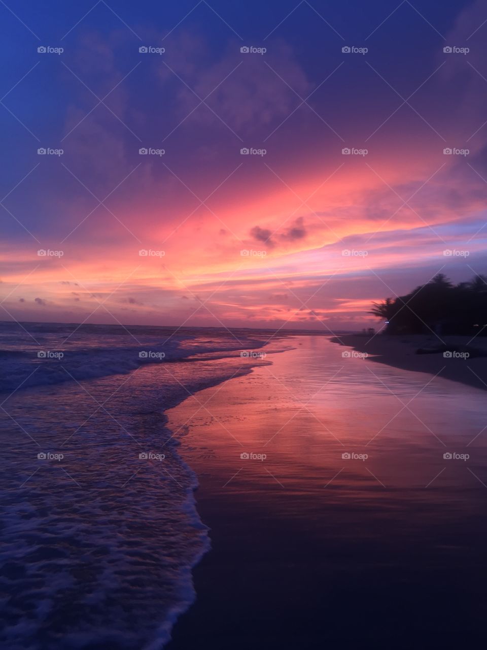 The greatest pink sunset in my life! 💗Sri Lanka lands. Creator- God