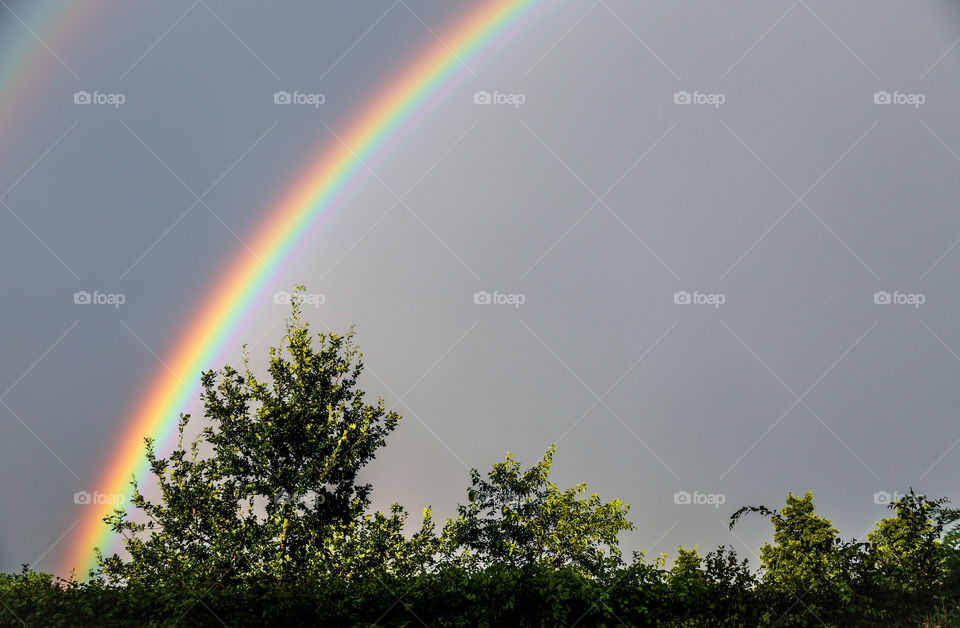 Rainbow against sky