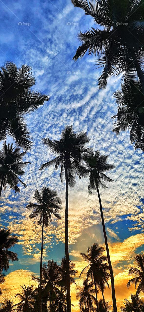 Beautiful sunset sky in Sri Lanka