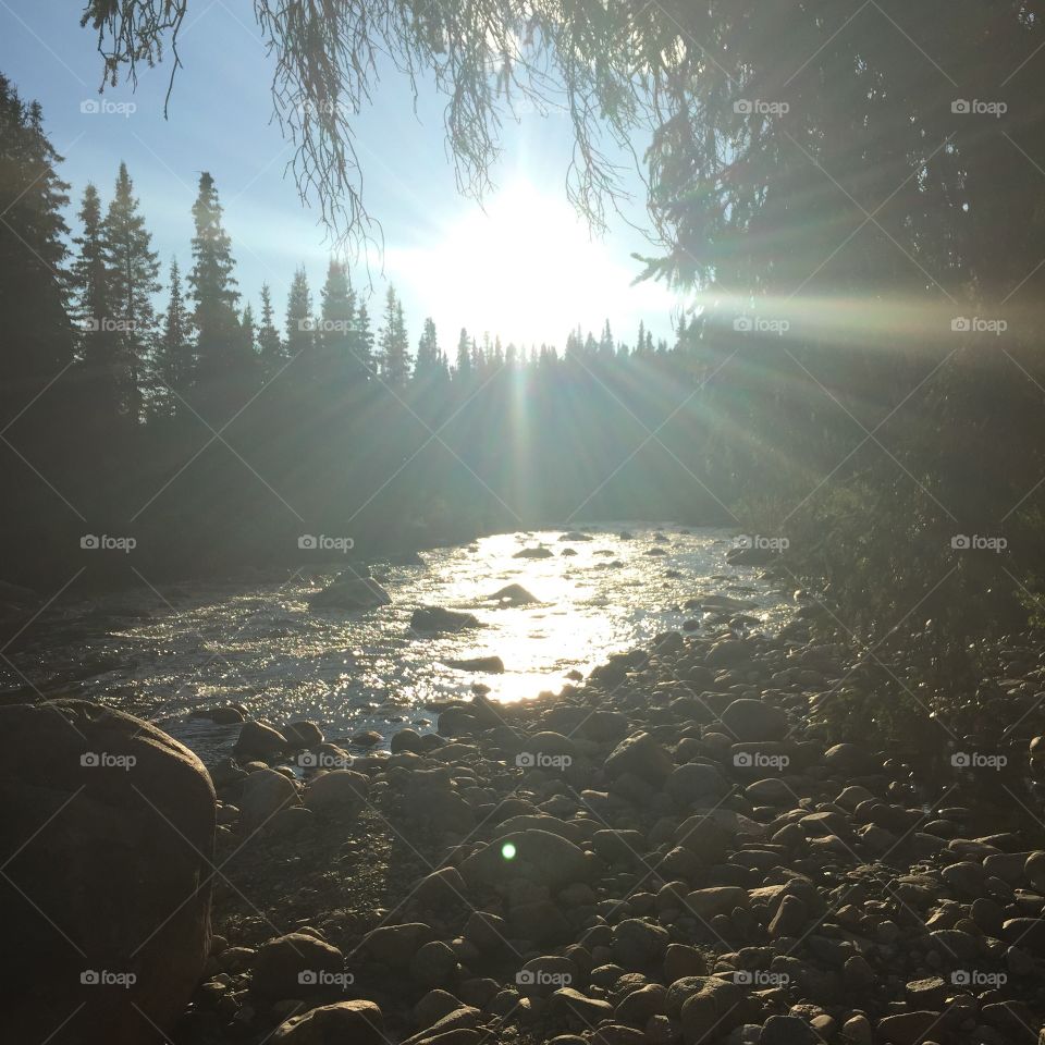 Creek side views. Road trip through the mountains, came across a beautiful rest stop near a creek. 
Hatcher Pass, Alaska 