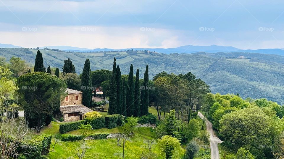 Landscape in Tuscany 