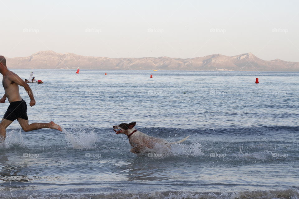 Man playing with his dog on the beach