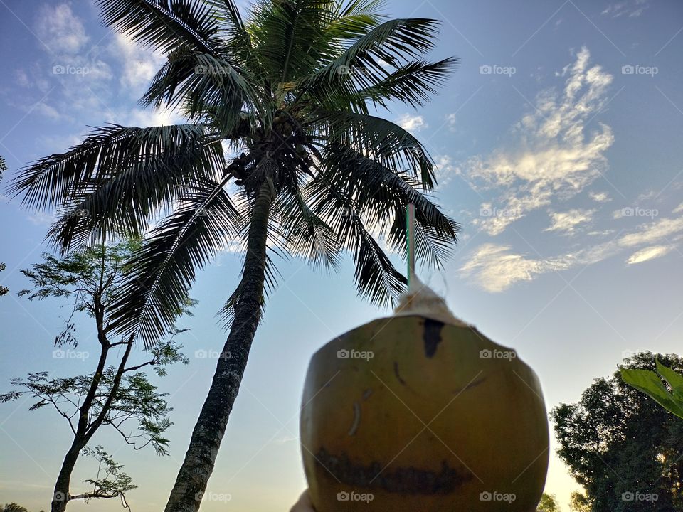 keep yourself hydrated this summer. Happy summer 🌴