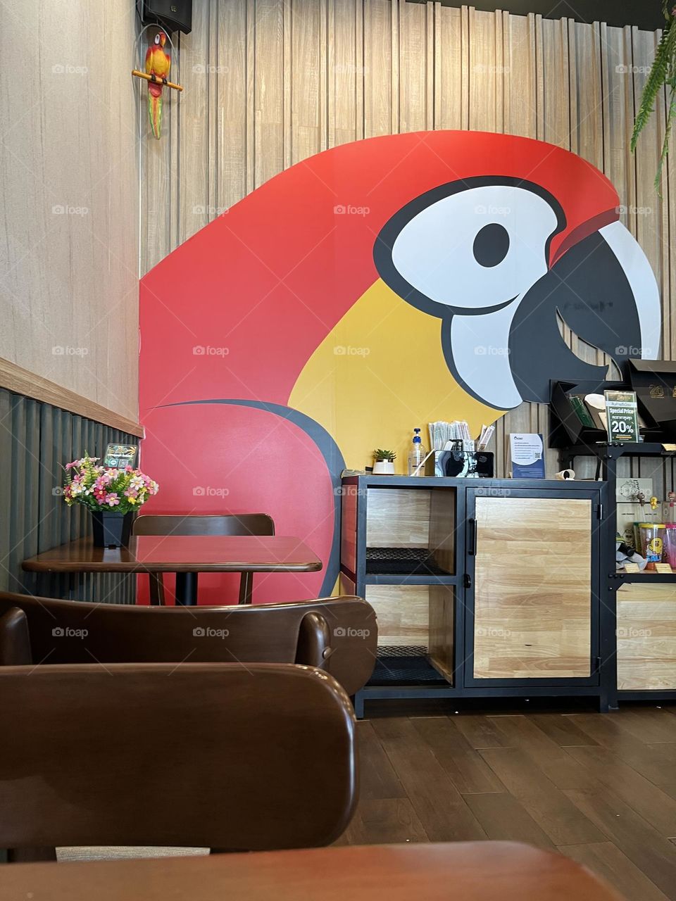 📷 Color Explosion 