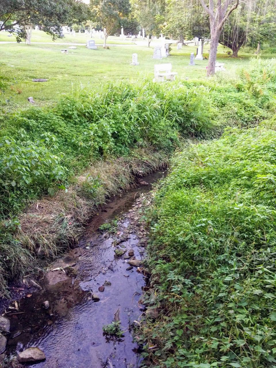cemetery stream