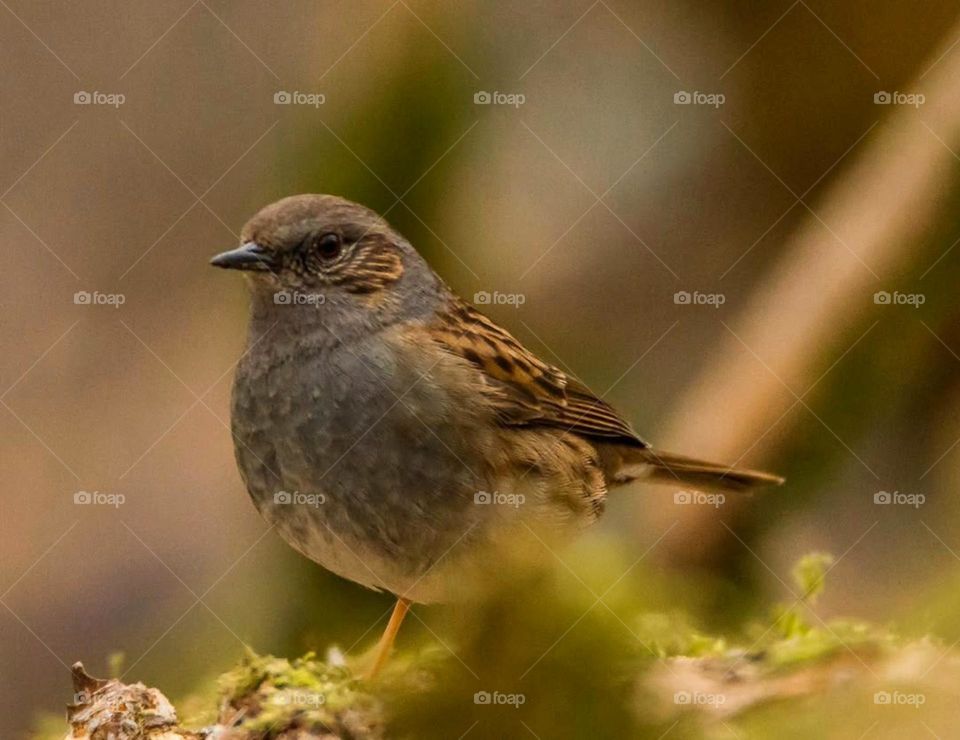 In the quiet moments, beauty unfolds