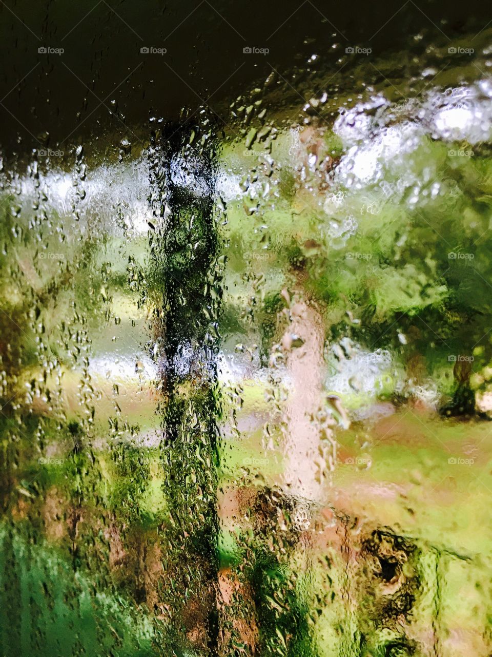 Window condensation.