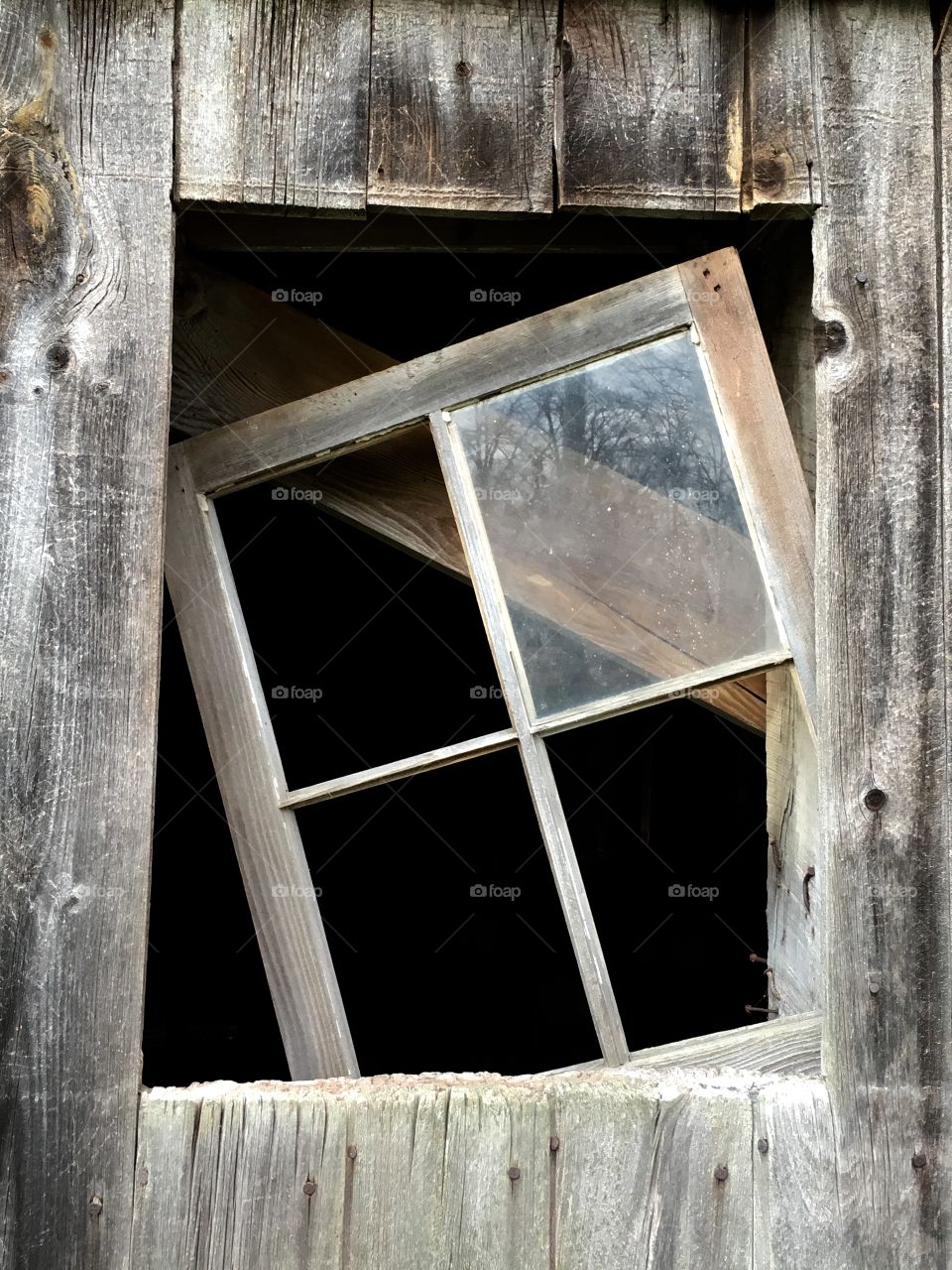 Window 