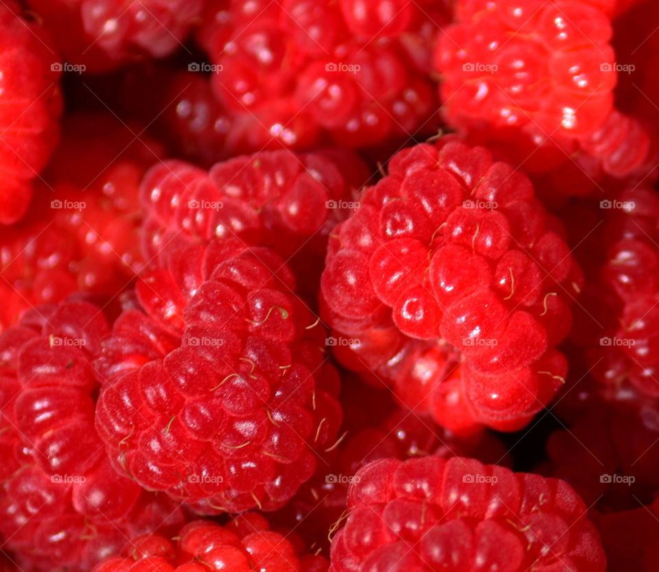 Full frame shot of raspberry