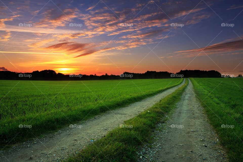Landscape Sunset Path 