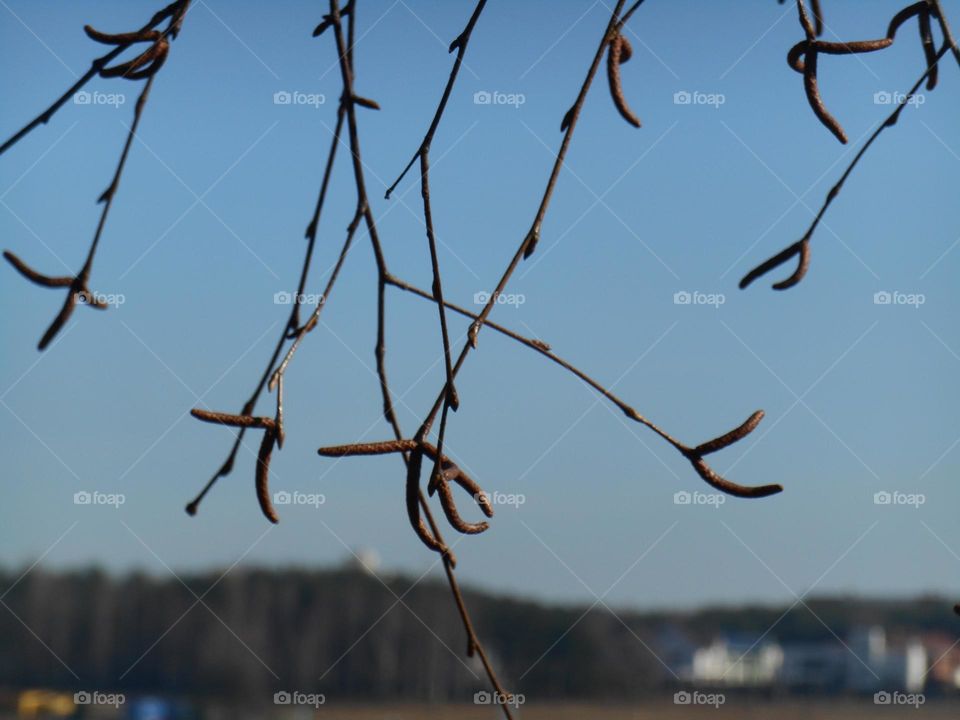 Sky, Barbed Wire, Nature, Outdoors, Water