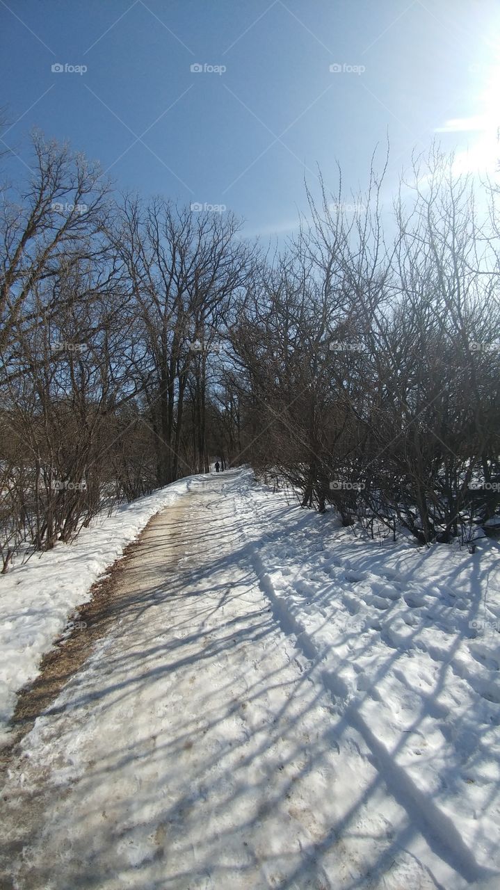 winter path