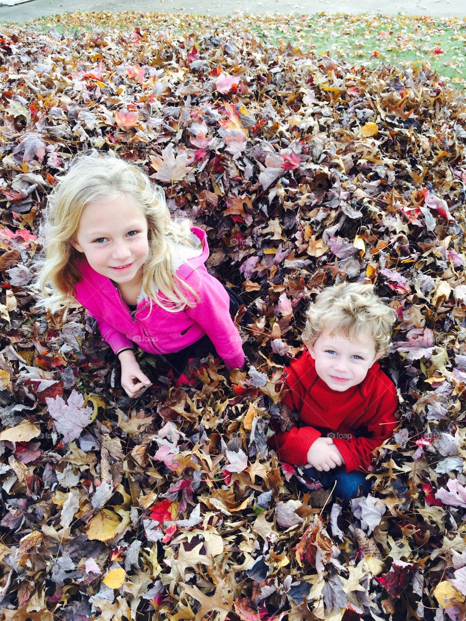 Kids n leaves. Playing in a big o leaf pile in The backyard in Ohio