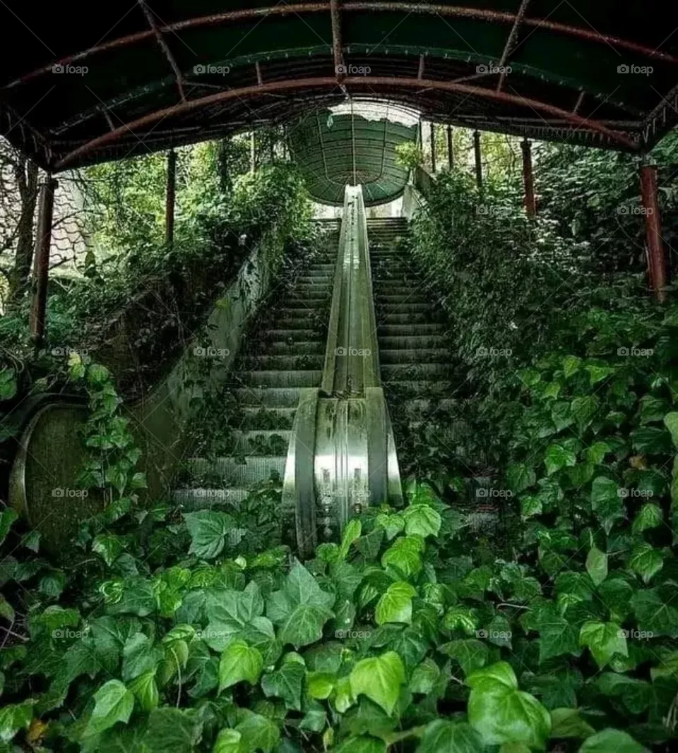 nature takes its toll