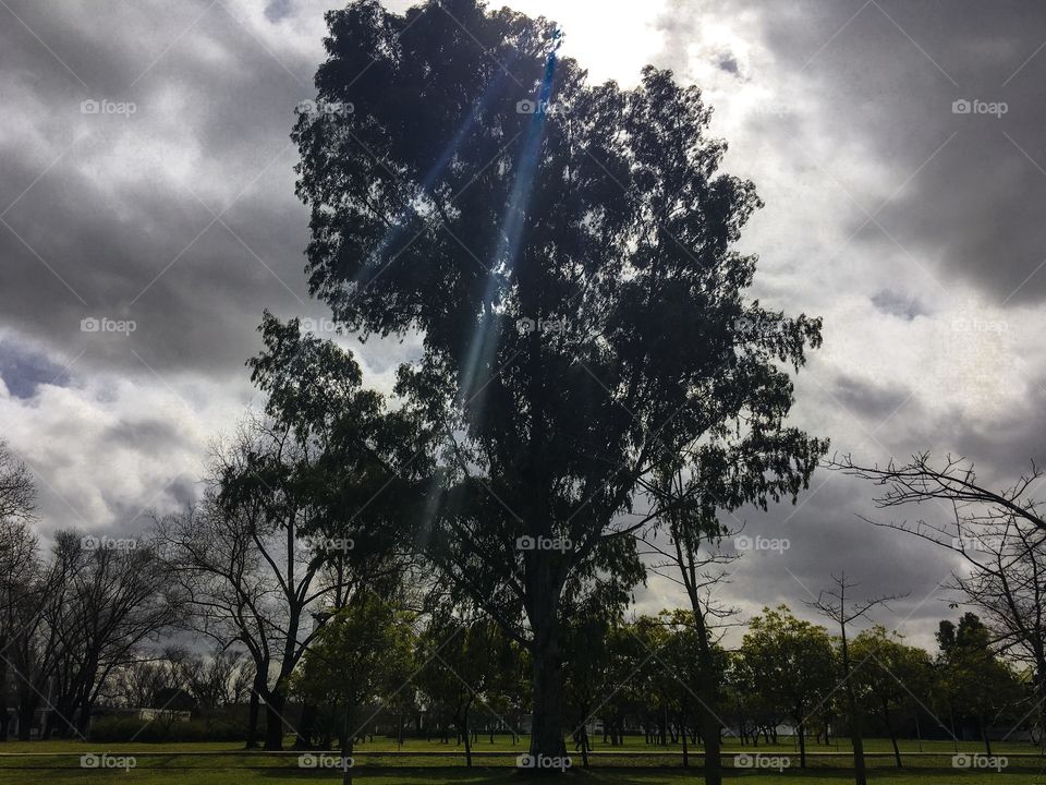 “Parque Universitario”