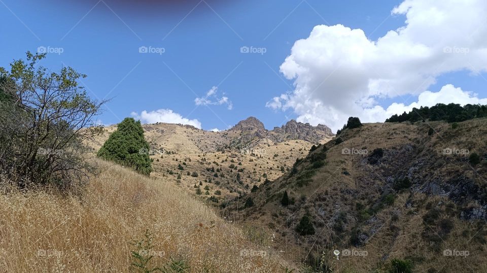blue sky and white cloud