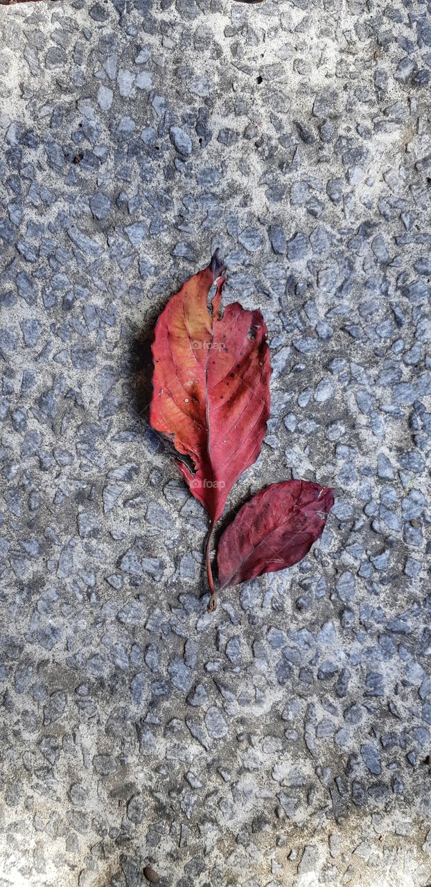 Going away gracefully!