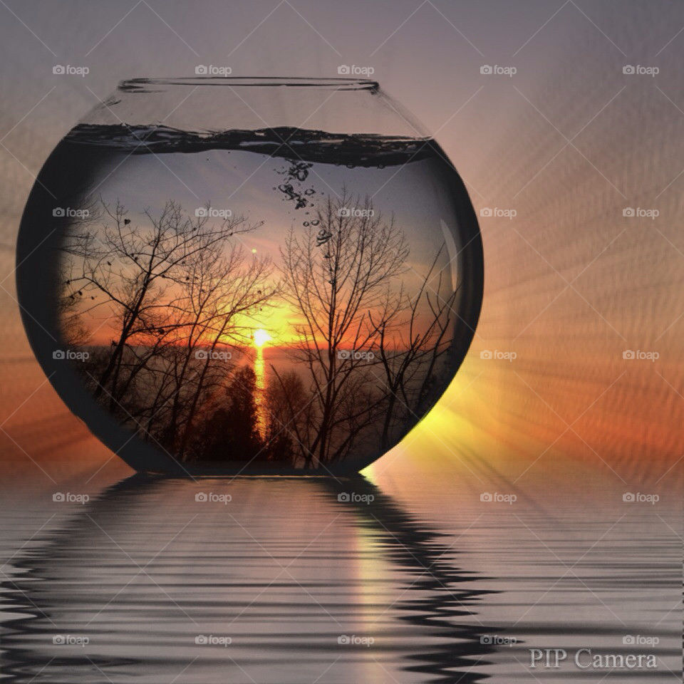 Fishbowl Sunrise