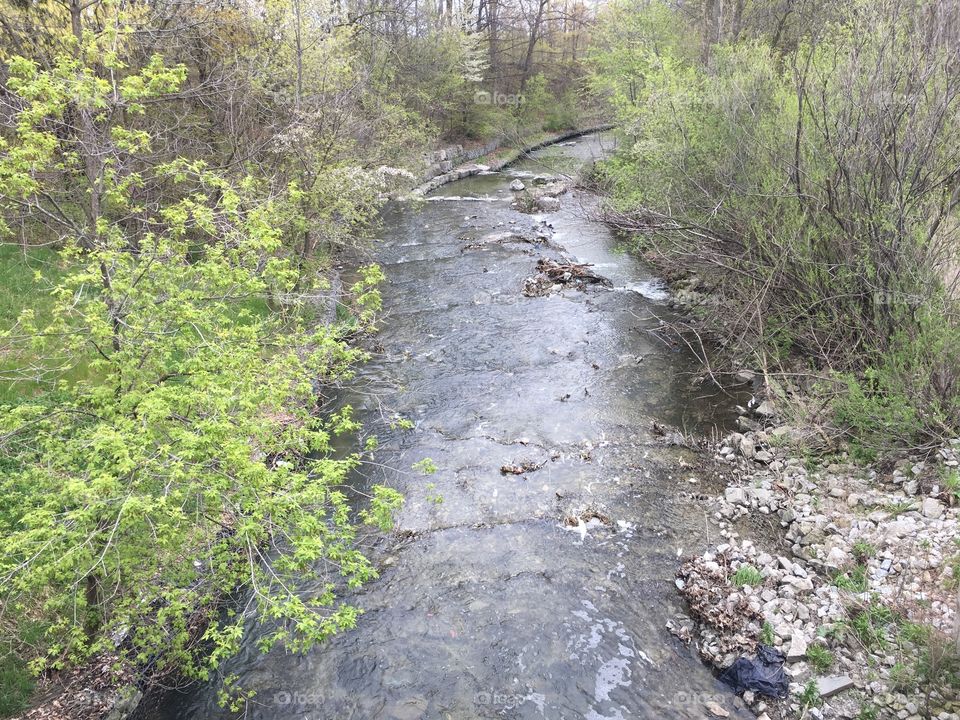 The creek river