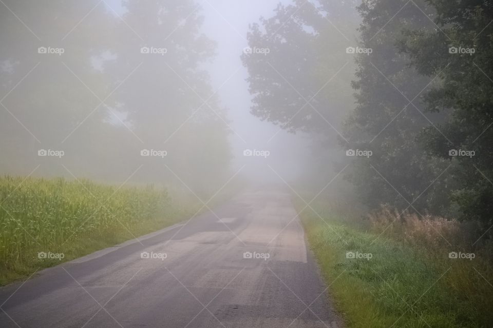 A foggy road in the early morning