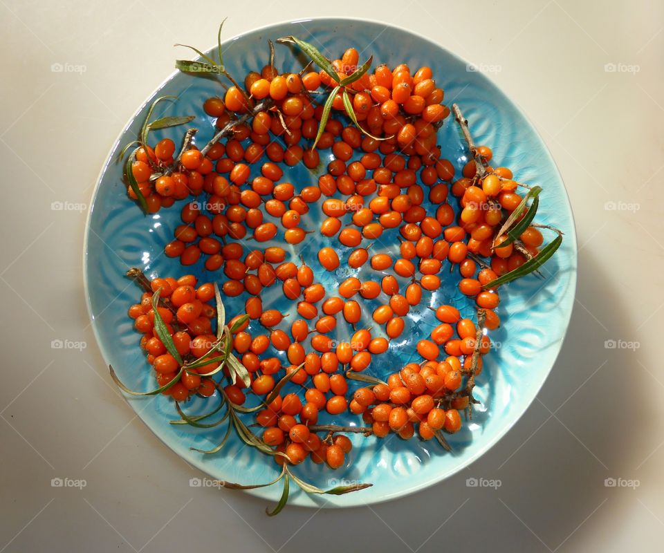 Sea buckthorn