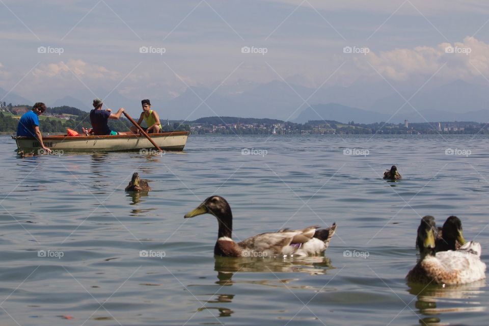 Ducks And Fishermen