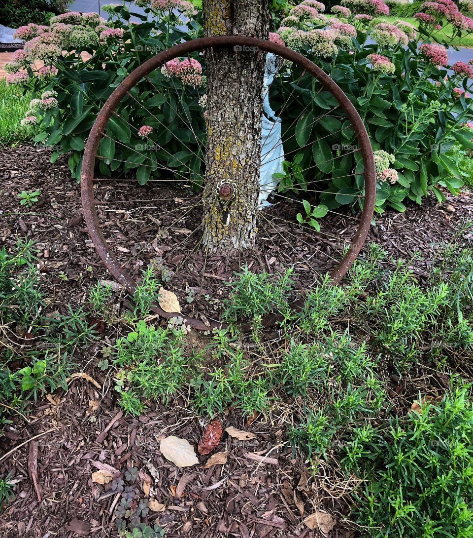 Rustic garden decoration 