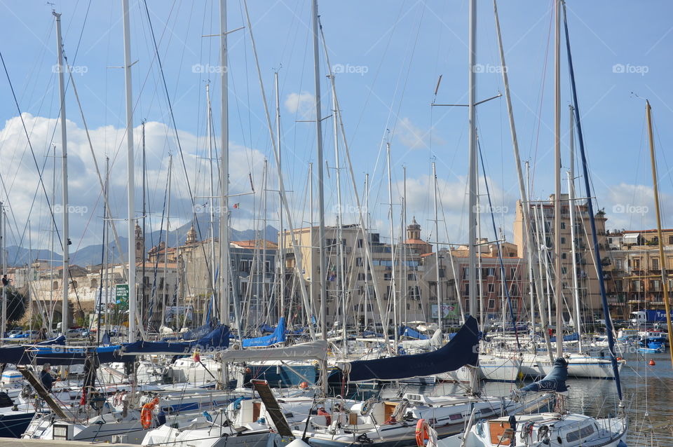 Palermo Harbour