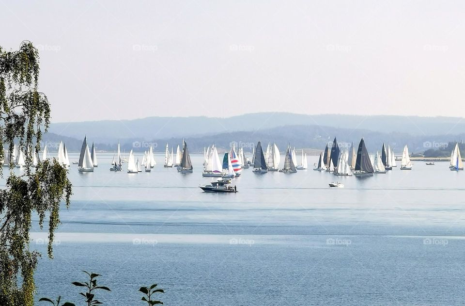 Sailing competition