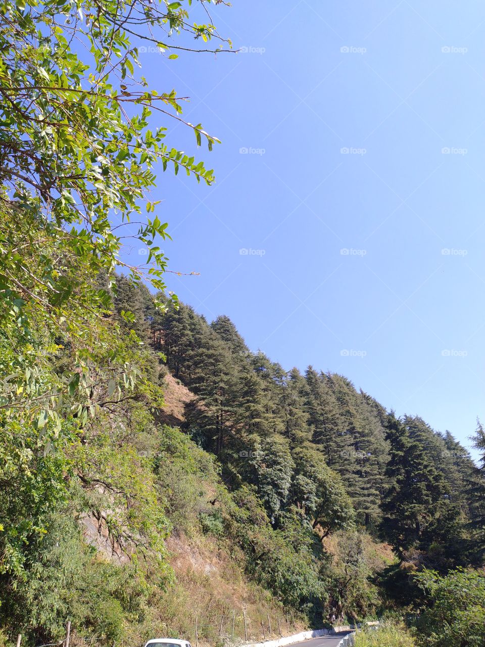 Wonderful view on the way to Uttarkashi