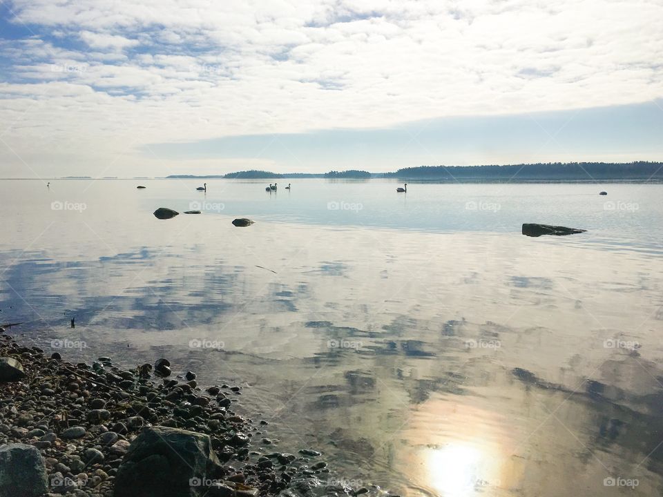 Scenic view of calm water