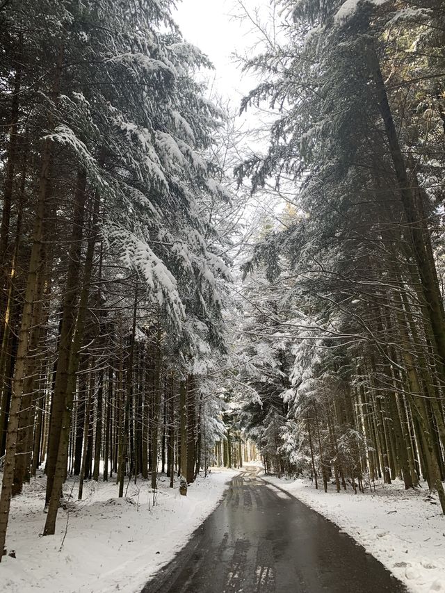 Switzerland 