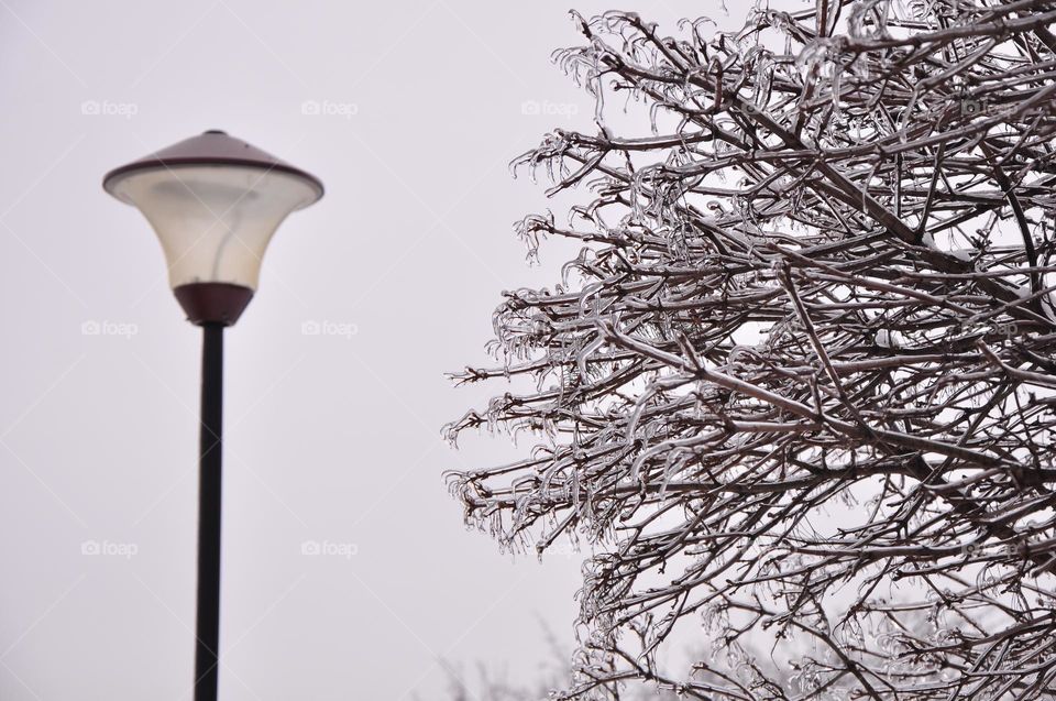 Winter in Moldova