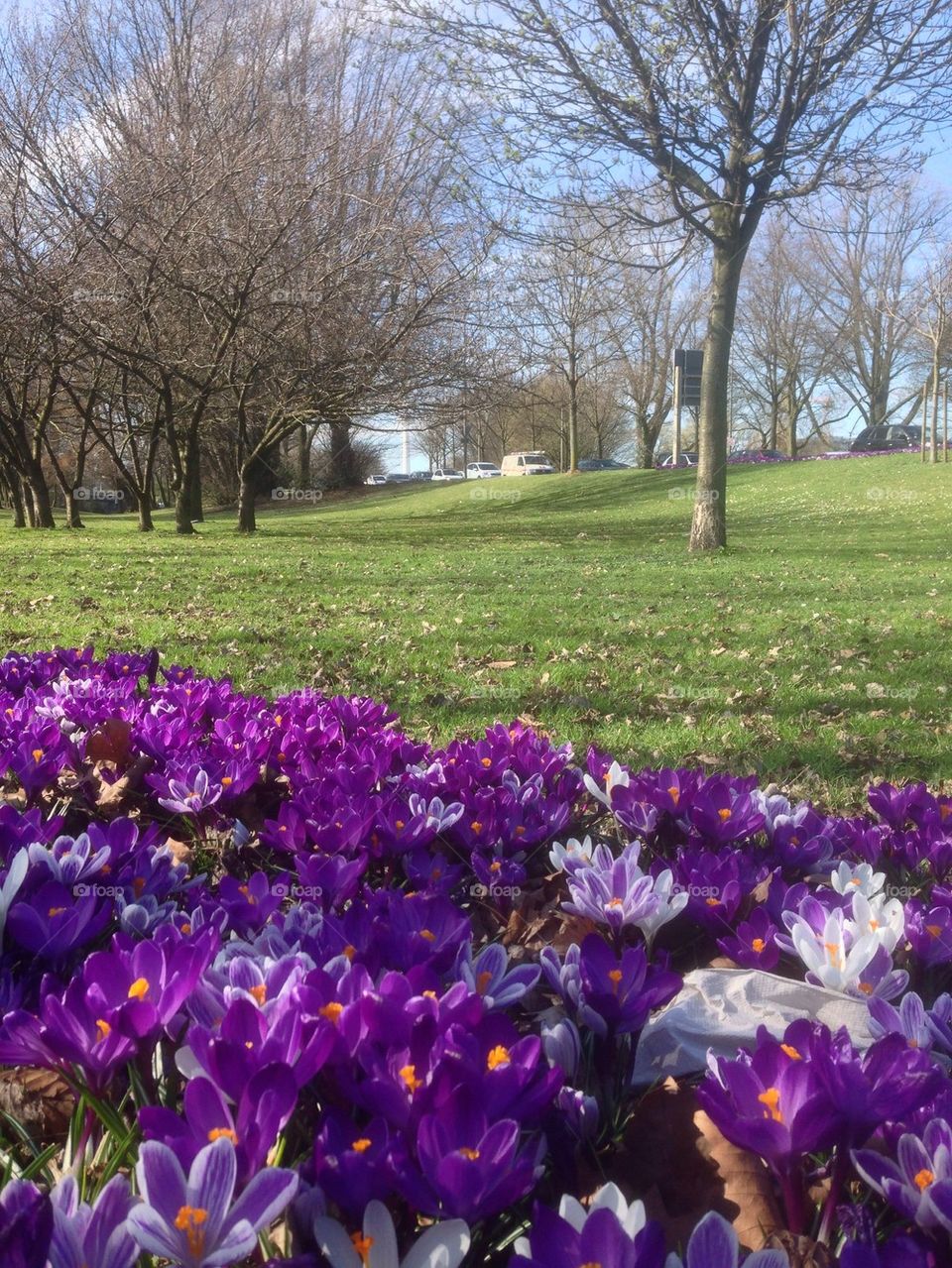 Springtime in outdoors