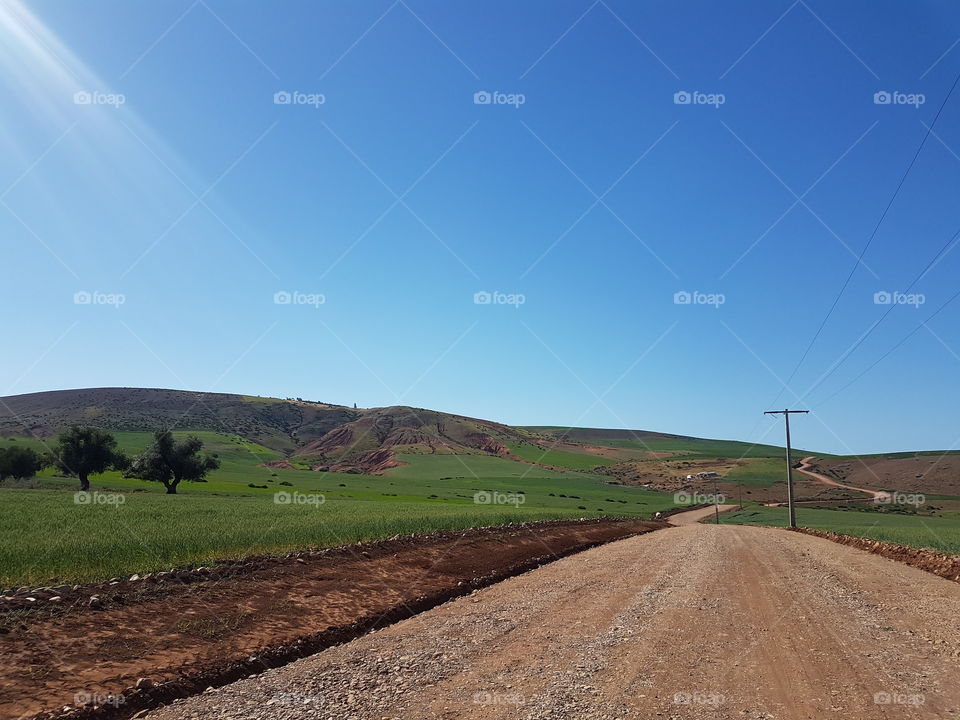 Nature _ Moroccan Fields