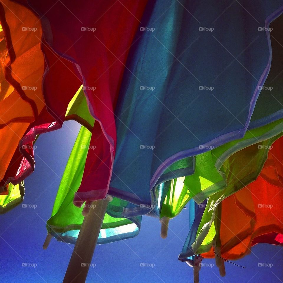 Sunlit Umbrella 
