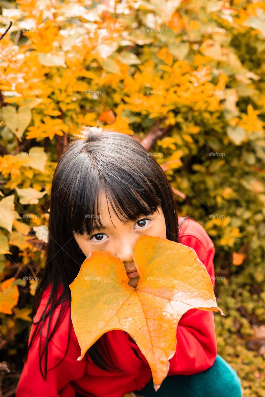 While plants and trees are shedding leaves it's an opportunity for us to create some creative portraits with the arrival of Autumn season. Portrait of a young little girl.