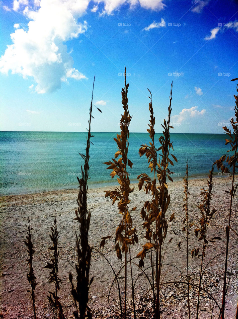 beach sun water sand by vegatron