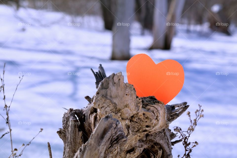 Corazón en un árbol