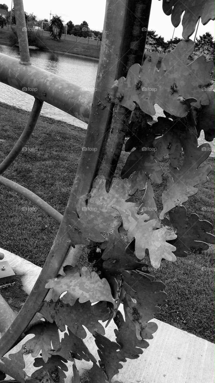 Iron Leaves. This is a freestanding structure in a park in Madison, Alabama