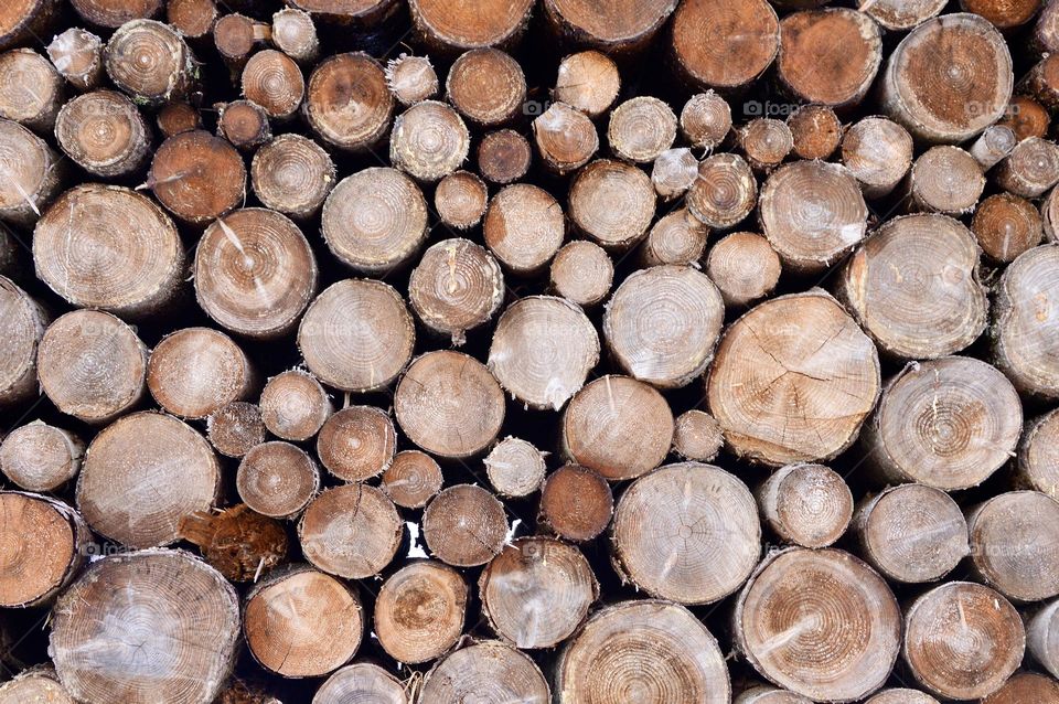 Logs of wood