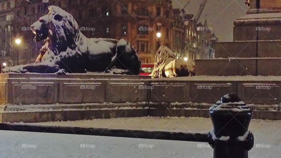 Snowy London, Evening at Trafalgar square all covered with snow and ice after the recent 'Beast from the east' arrival looks unforgettable