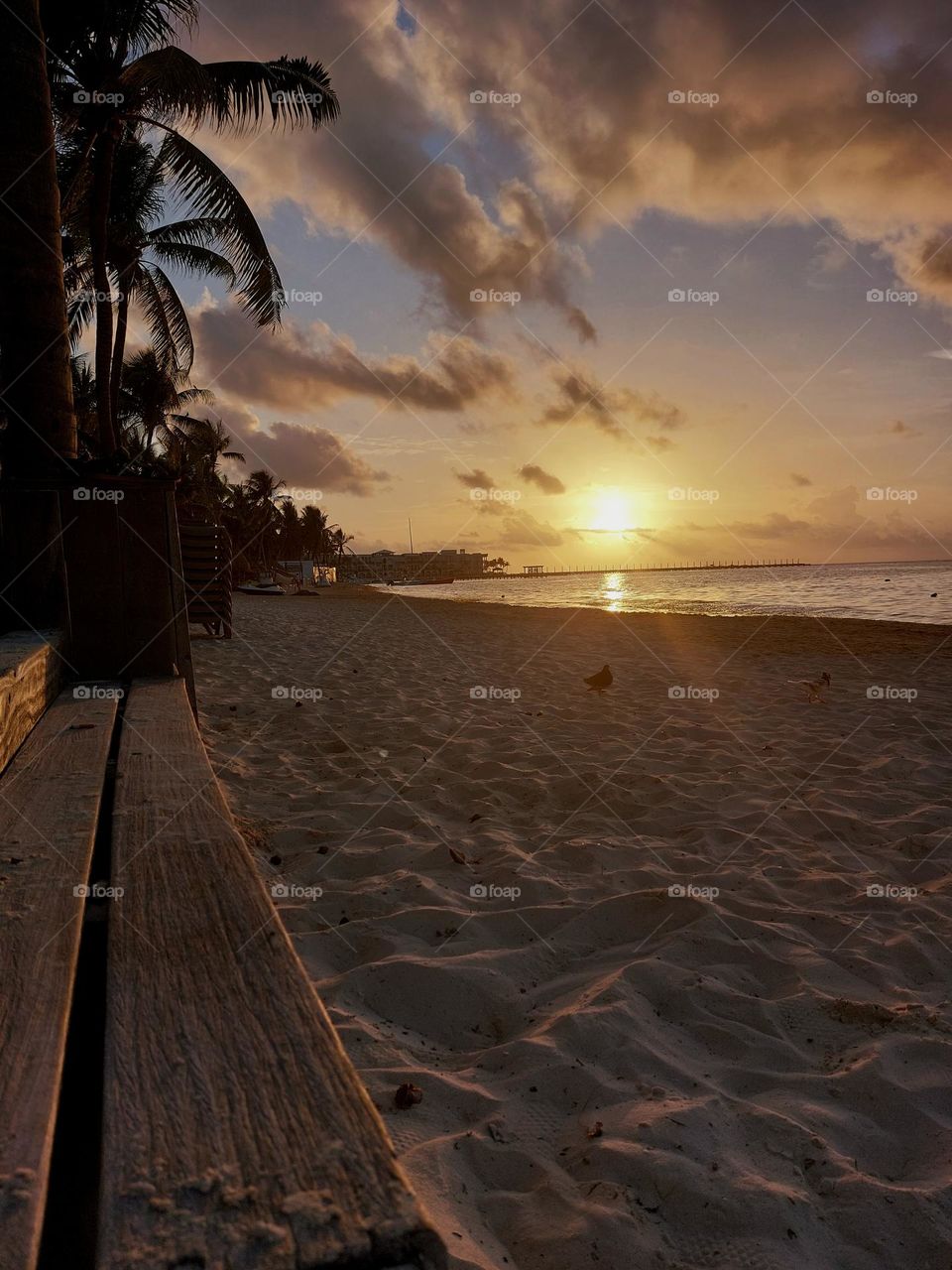 Quintana Roo. México. Playa del Carmen.
amanecer.