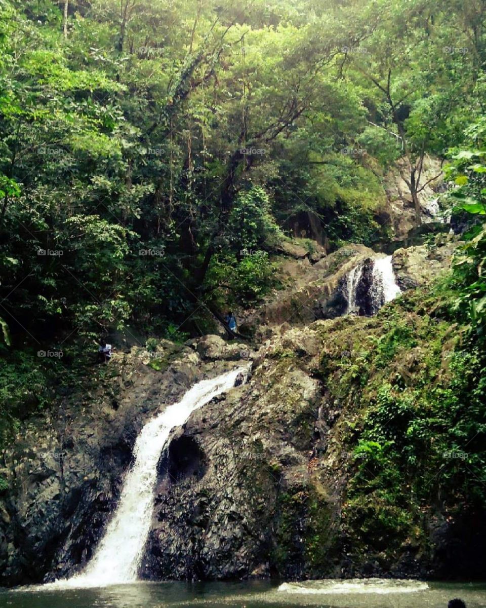 Argyle waterfall, Tobago