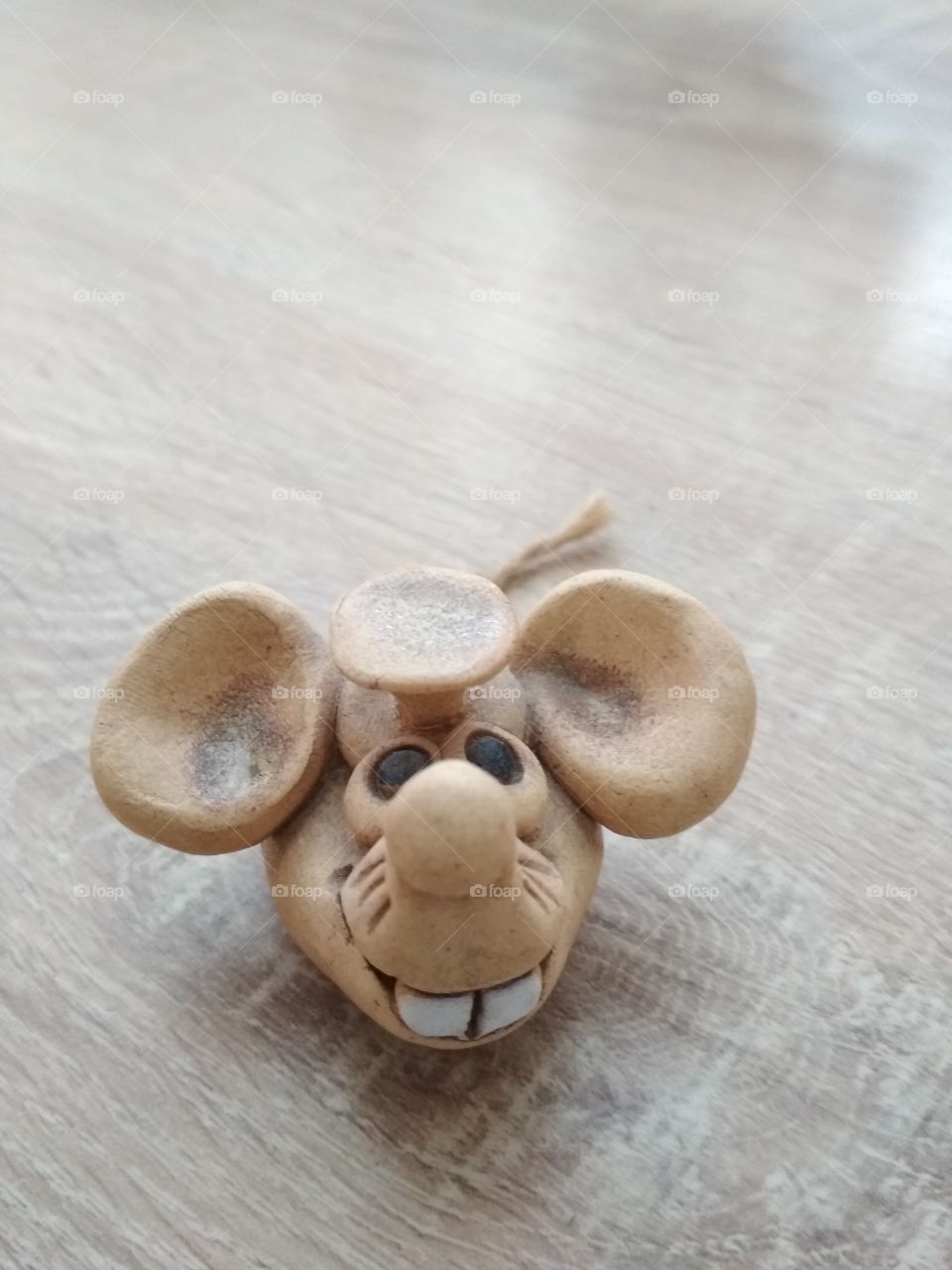 Mouse
