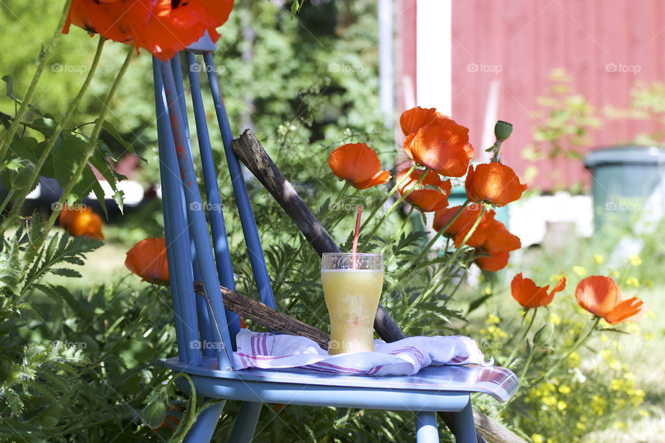 light green rhubarb juice and red poppy